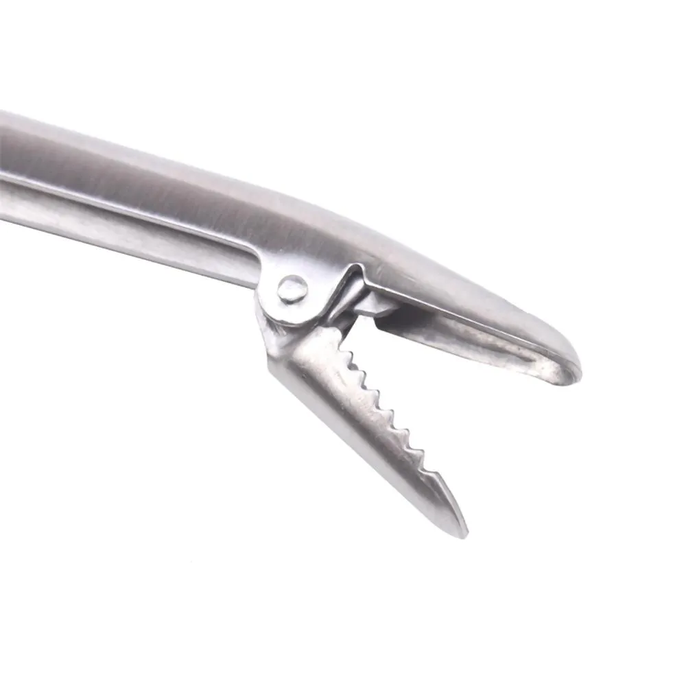 SANLIKE Edelstahl Angeln Lip G – Fishing Hook Stainless Steel Bewertung und Preis