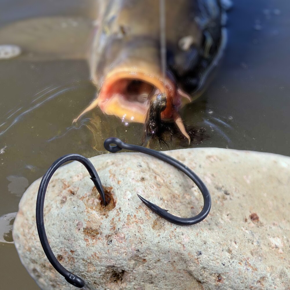 Hirisi Karpfen-Angelhaken, 50  – Fishing Hook Circle Bewertung und Preis